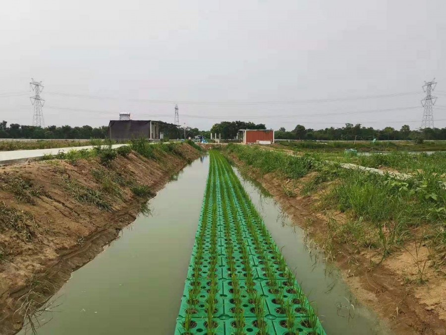 人工浮岛景观效果