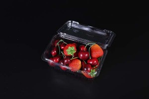 水果吸塑盒 食品包装吸塑内托 上海吸塑有限公司广舟图1